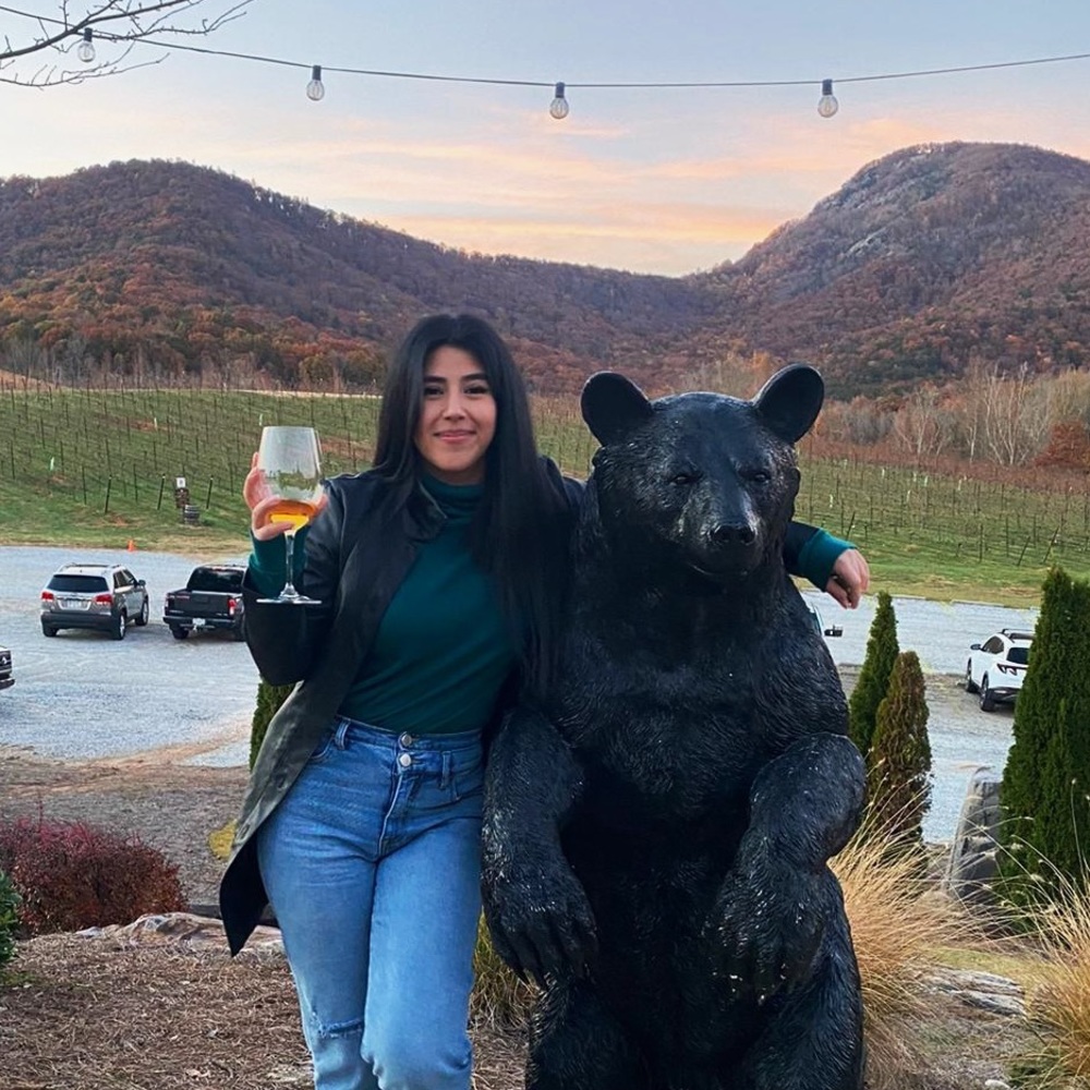 Meet your Posher, Ale